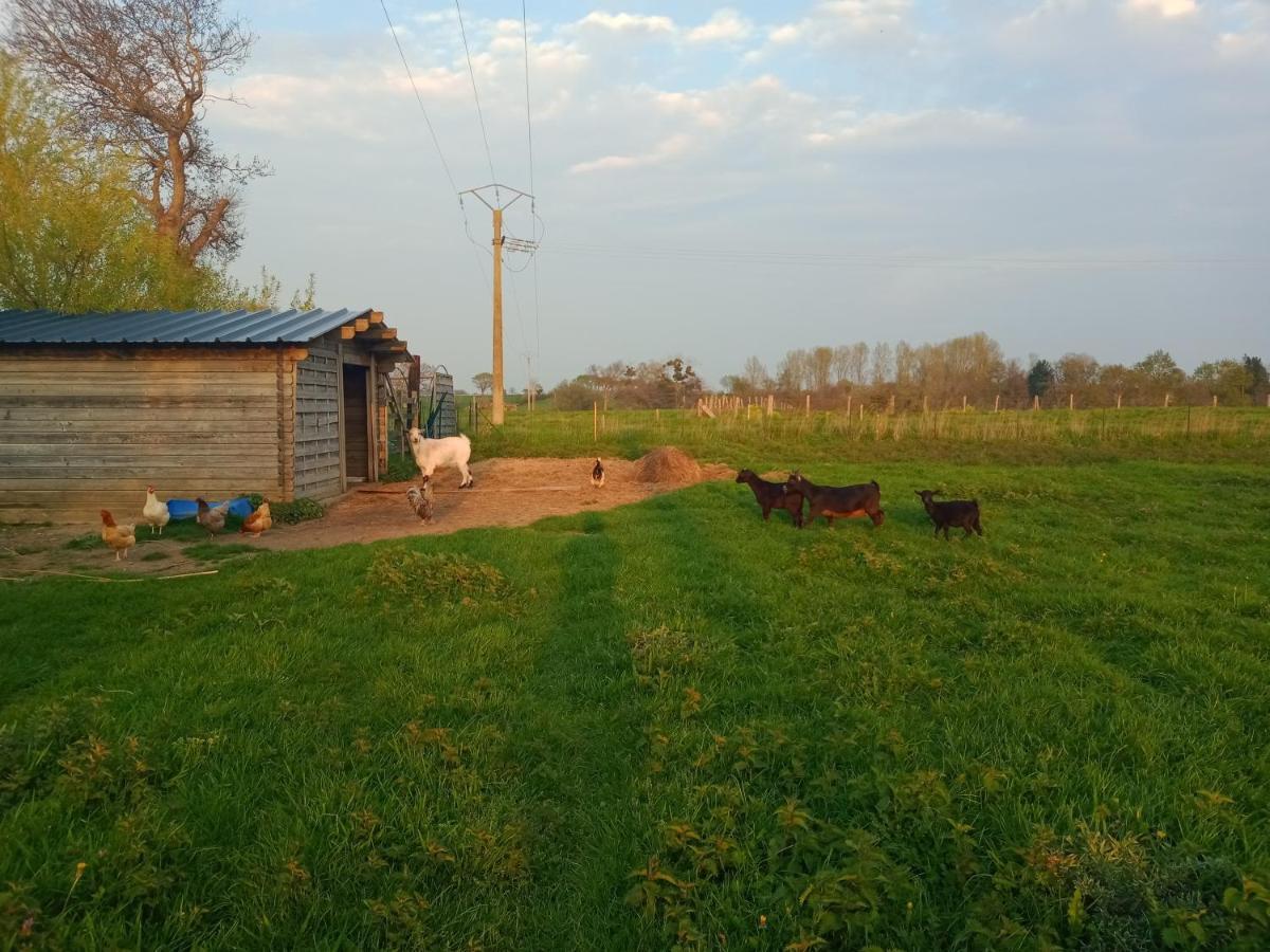 La Ferme D' Emerentine Bacilly Buitenkant foto