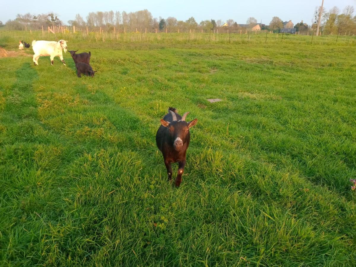 La Ferme D' Emerentine Bacilly Buitenkant foto